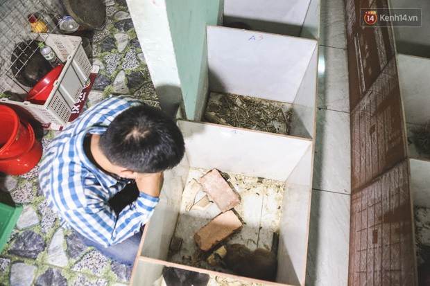 Chàng sinh viên Sài Gòn thu nhập 40 triệu đồng/tháng nhờ nuôi dúi bằng máy lạnh - Ảnh 15.