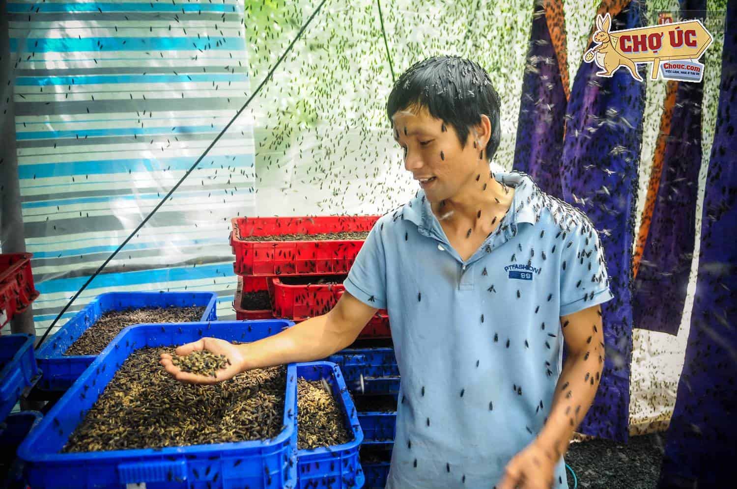 Chàng kỹ sư Sài Gòn bỏ việc về quê nuôi ruồi, doanh thu 80 triệu đồng/tháng: Từng bị gia đình phản đối, bạn bè cười nhạo - Ảnh 4.