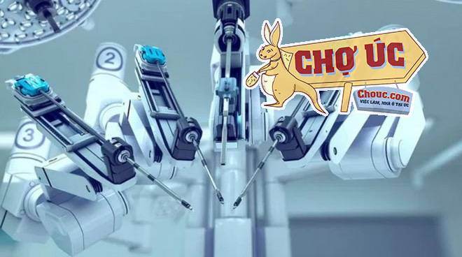 7 cơ hội việc làm mới đầy hấp dẫn hứa hẹn sẽ được tạo ra nhờ robot - Ảnh 2.